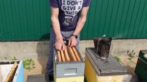 шестирамочный улей с гнездом на 145 рамку, перевод с 300 н