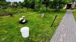 Дача в Польше,май.