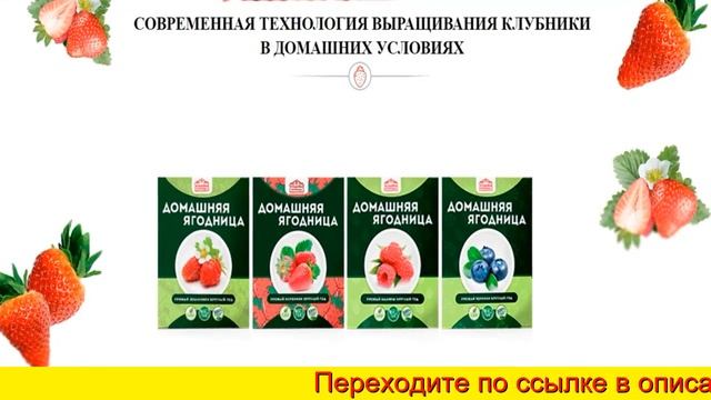 Домашняя Ягодница - Официальный Сайт, Домашняя Ягодни? смотреть онлайн
