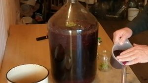 Домашнее вино из черники.  Часть 2 . Сбраживания сусла
