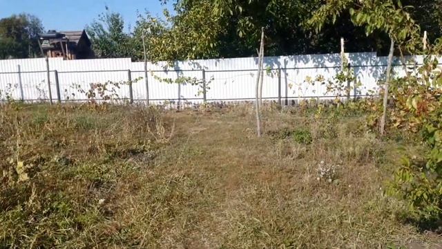 КОПАЕМ ЯМЫ для ЗАБОРА.  ЧТО УЖЕ СДЕЛАНО. смотреть онлайн