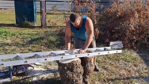 Распиловка клёна пилой Штиль мс661