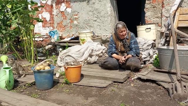 Аннушка собирает урожай. смотреть онлайн