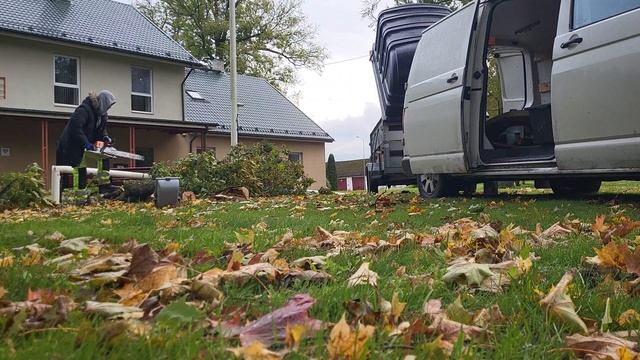 ветер сломал ветку, уборка. Viisu küla , tormi tagajärg, katkine lipuvarras смотреть онлайн