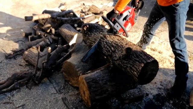 Бензопила Efco MTH 560 в работе смотреть онлайн