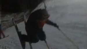 Царь северных скорпионов.