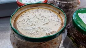 Триходерма вериде помощь в огороде