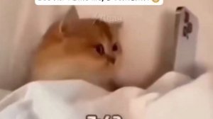 Все мы такие же, в основном 😴📱😳