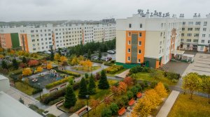 Лесная поляна