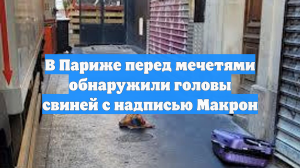 В Париже перед мечетями обнаружили головы свиней с надписью Макрон