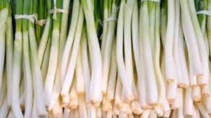 Выращивание зелени на продажу, пошаговая инструкция