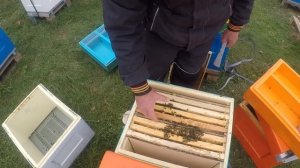 Пасека в ноябре. Зимовка пчел. Вентиляция в ульях зимо?