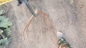 веерные картофелекопалки часть 1 ( самодельная VS завод