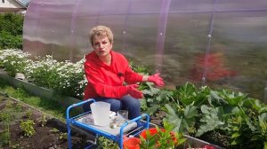 Не врите, БИОпрепараты не работают!