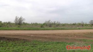 Яросвит Агро.  Группа компаний Скворцово.  Крым.  Совре?