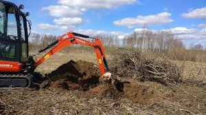 Как быстро убрать пни на участке. Корчую пень от яблон?