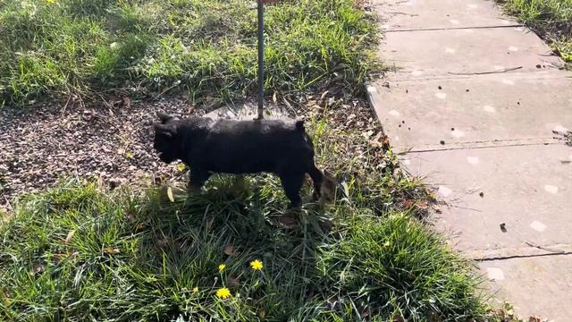 Райские яблочки 🍎🍎🍎 смотреть онлайн