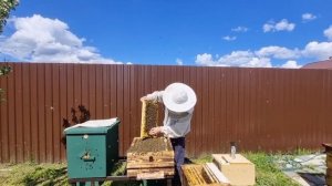 Переход с рамки Дадан 300 на рамку Фаррара 180