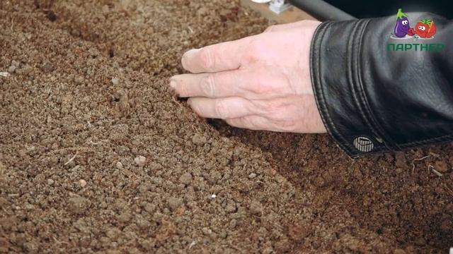 СВЕКЛА БЕЗ КОЛЕЦ! КЕСТРЕЛ - ОБЗОР И ПОСЕВ смотреть онлайн