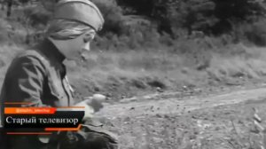 «Бери шинель, пошли домой...»