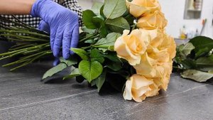 Что означают кремовые розы? | Когда и кому дарить нежны