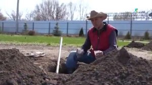 Как правильно посадить яблоню.