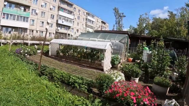 Купили заросший участок, расчищаем границу к соседям смотреть онлайн