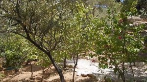 Наша компания)