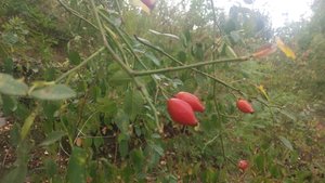 новые места и рыбалка