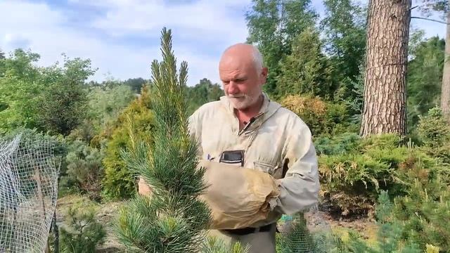 Объединенный ролик по теме «Контролируемое скрещиван смотреть онлайн