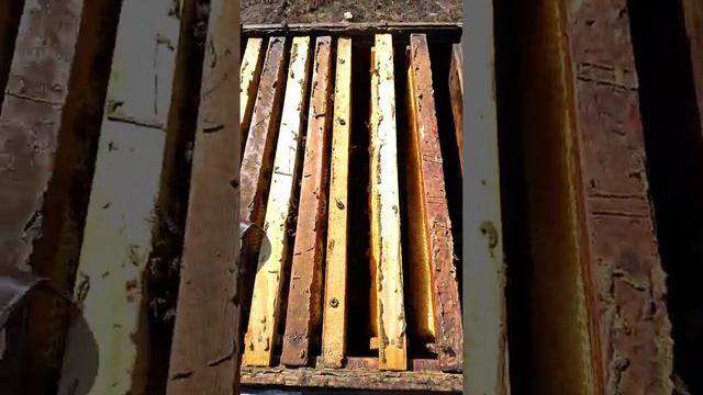 МЕТОД БЛИНОВА   👍 смотреть онлайн