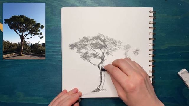 Дерево рисунок карандашом. Нарисовать карандашом. Сри смотреть онлайн