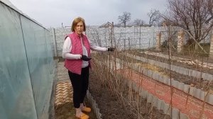 СДЕЛАЙТЕ ЭТО и МАЛИНА ЗАВАЛИТ ВАС УРОЖАЕМ!#подкормка#у