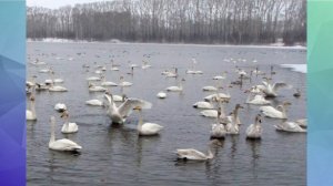 Советский район Алтайского края