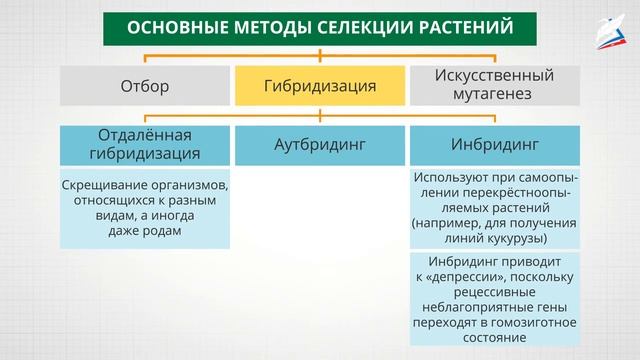 Генетика и селекция смотреть онлайн