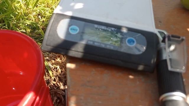 Груша Молдавская ранняя смотреть онлайн