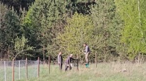 Простая Жизнь Около Деревни. Рассада, Реконструкция с?