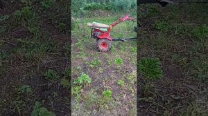 Обзор на мотоблок Алёша п