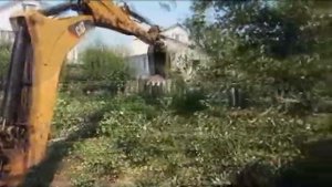 Расчистка участка, спил деревьев ,выкорчовка пней!!!