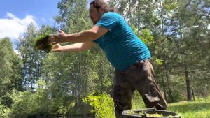 Добавляем новых обитателей в #свой_пруд ( #линь , круглы