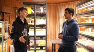 Бизнес с 5 тысяч рублей. Ситиферма у себя дома. Бизнес н