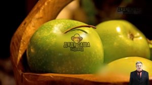 Яблоня Спартан: Секреты и Советы для Садоводов