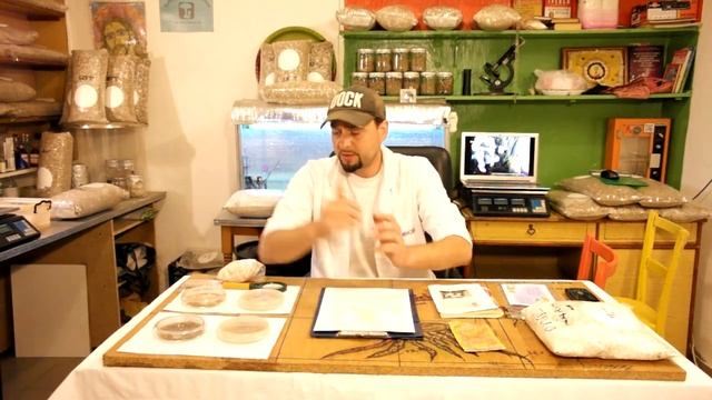 Сухой мицелий королевская вешенка и др. смотреть онлайн