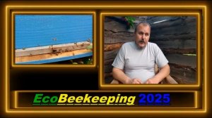 Рой 2025. Что такое рой. Роение пчел.