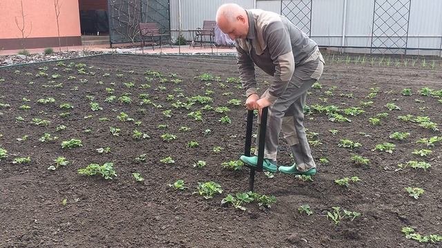 Защита корней растений от почвообитающих вредителей