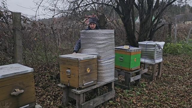 Утепляю пчел на зиму. Место где сильно продувает ветер смотреть онлайн