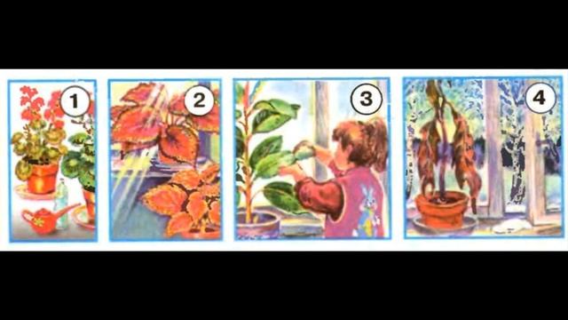 Окружающий мир 1 класс ч.1, тема урока "Как живут расте? смотреть онлайн