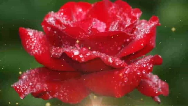 Вечер на даче, который перевернул всё… смотреть онлайн