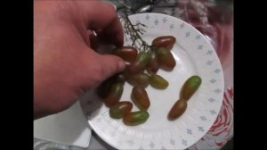 Виноград, который может храниться всю зиму