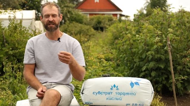 Уход за клубникой. смотреть онлайн